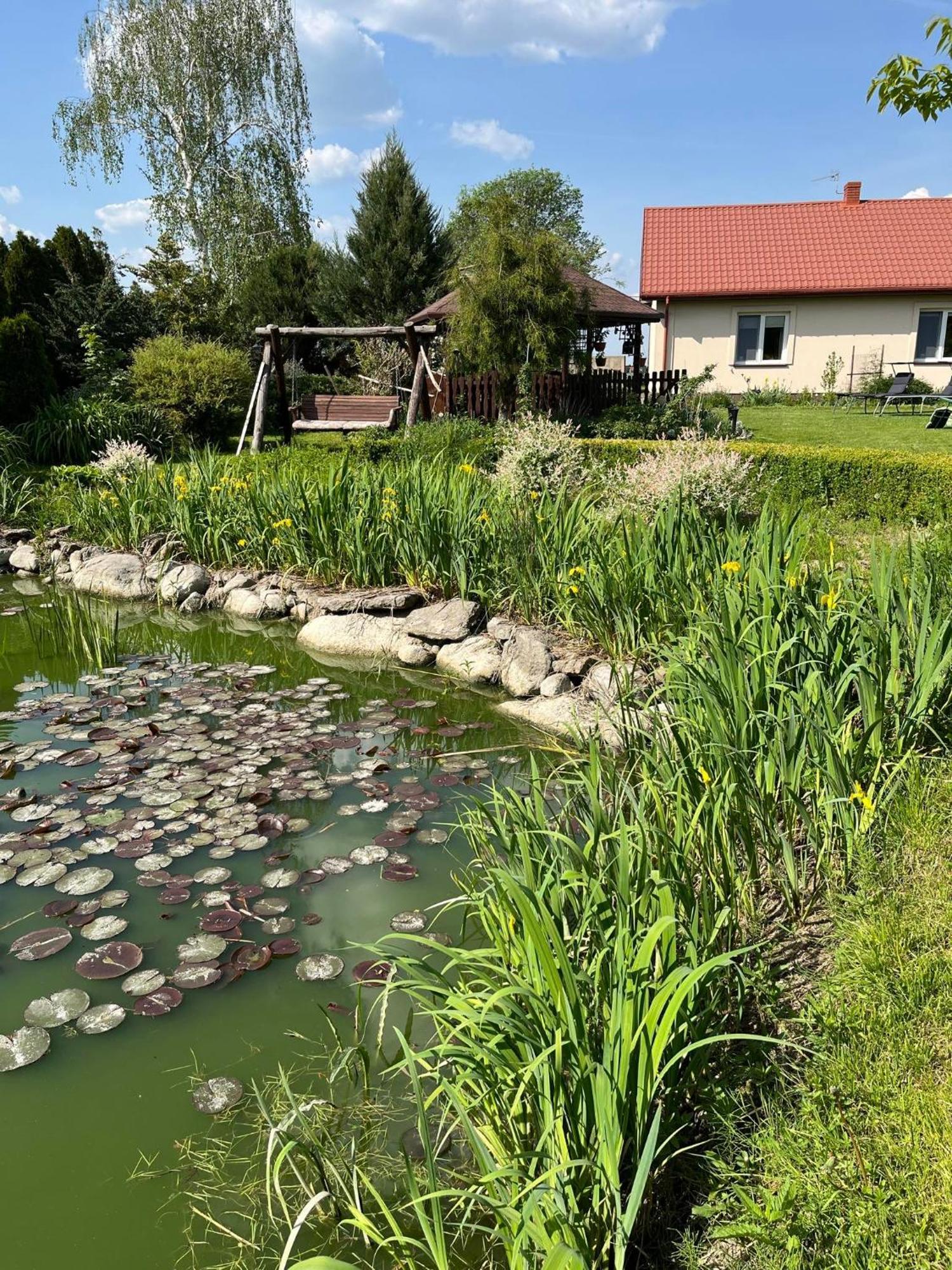 Agroturystyka Smulsko Przykona Exterior photo